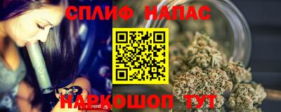 стаф Донецк