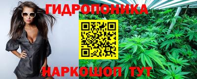 стаф Донецк