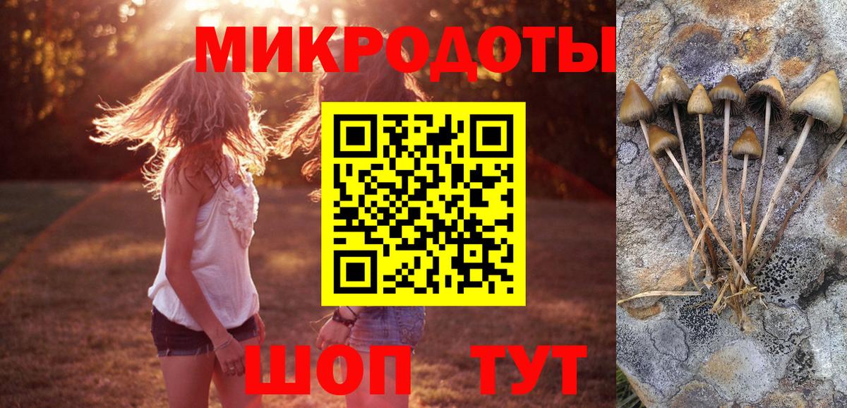 Псилоцибиновые грибы мухоморы Луховицы